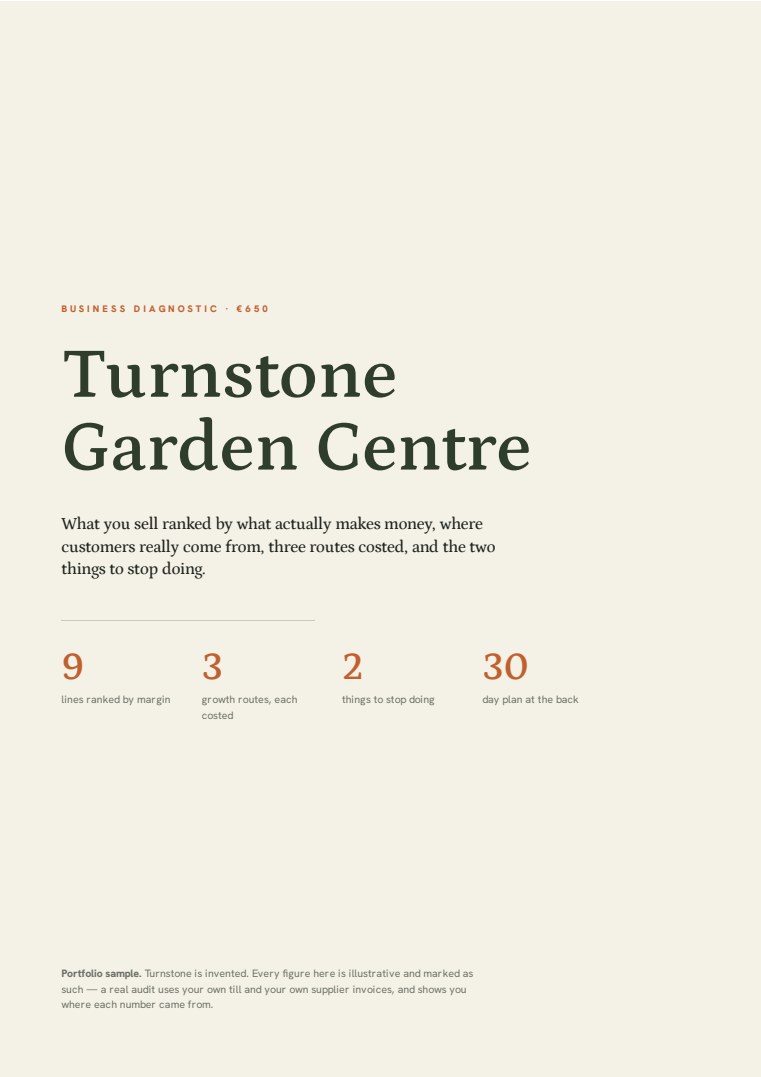 Cover of the Business diagnostic sample for Turnstone